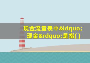 现金流量表中“现金”是指( )